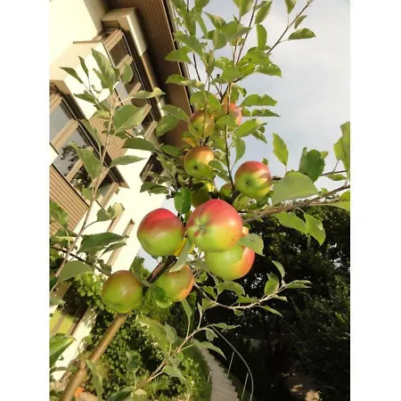 شقة Am Weinberg Mueritz فارين